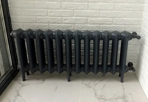 ᐉ Радиатор стальной трубчатый Zehnder Charleston 3026 100-260 мм [1 секция] ✔️ фото | ⏩ Pro-Greem