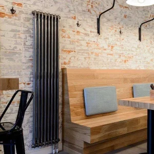 ᐉ Радиатор стальной трубчатый Zehnder Charleston 6180 210-1800 мм [1 секция] ✔️ фото | ⏩ Pro-Greem