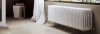 ᐉ Радиатор стальной трубчатый Arbonia Cambiotherm 6027 225-270 мм [1 секция] 6027-225-270-1 ✅ фото | Arbonia ⭐ Pro-Greem