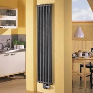 ᐉ Радиатор стальной трубчатый Zehnder Charleston 6110 210-1100 мм [1 секция] ✔️ фото | ⏩ Pro-Greem