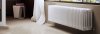 ᐉ Радиатор стальной трубчатый Arbonia 5026 185-260 мм [1 секция] arb-5026-185-260-1 ✅ фото | Arbonia ⭐ Pro-Greem