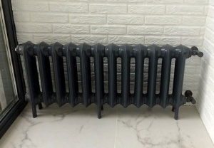 ᐉ Радиатор стальной трубчатый Zehnder Charleston 4035 136-350 мм [1 секция] ✔️ фото | ⏩ Pro-Greem