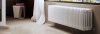 ᐉ Радиатор стальной трубчатый Arbonia Cambiotherm 3037 105-370 мм [1 секция] 3037-105-370-1 ✅ фото | Arbonia ⭐ Pro-Greem