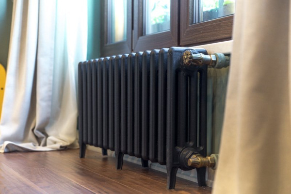 ᐉ Радиатор стальной трубчатый Zehnder Charleston 2030 62-292 мм [1 секция] ✔️ фото | ⏩ Pro-Greem